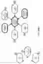 Fig. 264 - Method and Apparatus for Modeling Atherosclerosis
