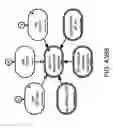 Fig. 265 - Method and Apparatus for Modeling Atherosclerosis
