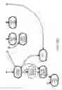 Fig. 290 - Method and Apparatus for Modeling Atherosclerosis
