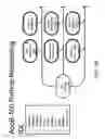 Fig. 31 - Method and Apparatus for Modeling Atherosclerosis