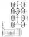 Fig. 37 - Method and Apparatus for Modeling Atherosclerosis