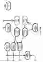 Fig. 40 - Method and Apparatus for Modeling Atherosclerosis