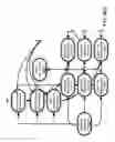 Fig. 43 - Method and Apparatus for Modeling Atherosclerosis