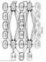 Fig. 47 - Method and Apparatus for Modeling Atherosclerosis
