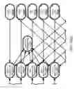 Fig. 58 - Method and Apparatus for Modeling Atherosclerosis