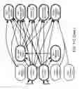 Fig. 71 - Method and Apparatus for Modeling Atherosclerosis