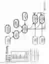Fig. 80 - Method and Apparatus for Modeling Atherosclerosis