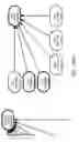Fig. 85 - Method and Apparatus for Modeling Atherosclerosis