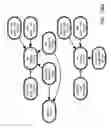 Fig. 90 - Method and Apparatus for Modeling Atherosclerosis