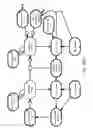 Fig. 94 - Method and Apparatus for Modeling Atherosclerosis