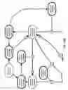 Fig. 99 - Method and Apparatus for Modeling Atherosclerosis