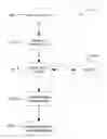 Fig. 01 - SYSTEM AND METHOD FOR GENERATING AND PAYING FOR AD LISTINGS FOR ASSOCIATION WITH SEARCH RESULTS OR OTHER CONTENT