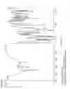 Fig. 03 - Polymorphic form of imatinib mesylate and a process for its preparation