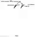 Fig. 03 - ASSAY METHOD FOR GROUP TRANSFER REACTIONS