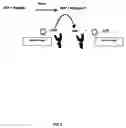 Fig. 04 - ASSAY METHOD FOR GROUP TRANSFER REACTIONS