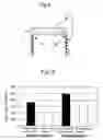 Fig. 08 - PRESSURE VESSEL, COMPRESSOR AND PROCESS FOR CASTING CYLINDER BLOCK