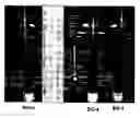 Fig. 01 - Aggregating reagents, modified particulate metal-oxides and proppants