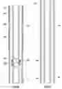 Fig. 07 - Running tool for expandable liner hanger and associated methods