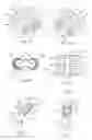 Fig. 05 - Sleeve For an Electrical Cable