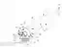 Fig. 01 - One Piece Dispensing Component