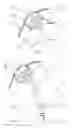 Fig. 02 - Motor Vehicle Windscreen Washer