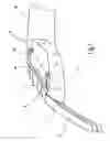 Fig. 02 - Safety Device for a Motor Vehicle