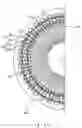 Fig. 40 - Stator