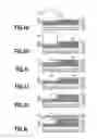 Fig. 07 - Substrate for inkjet printing head and method for manufacturing the substrate