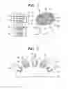 Fig. 02 - BIOLOGICAL OPTICAL MEASURING APPARATUS AND LIGHT DETECTION MODULE