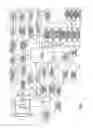 Fig. 02 - Imaging apparatus and imaging method