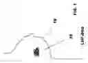 Fig. 02 - EXTRACELLULAR MATRIX  AS SURGICAL ADJUNCT IN A LUMPECTOMY PROCEDURE