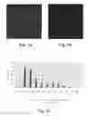 Fig. 02 - Composite and layered particles for efficient delivery of polyelectrolytes