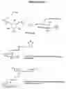 Fig. 03 - Inositol-phosphate derivatives and method of detecting inositol-1-phosphate