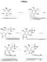 Fig. 04 - Inositol-phosphate derivatives and method of detecting inositol-1-phosphate