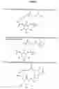 Fig. 07 - Inositol-phosphate derivatives and method of detecting inositol-1-phosphate