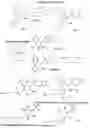 Fig. 09 - Inositol-phosphate derivatives and method of detecting inositol-1-phosphate