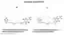 Fig. 10 - Inositol-phosphate derivatives and method of detecting inositol-1-phosphate