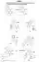 Fig. 11 - Inositol-phosphate derivatives and method of detecting inositol-1-phosphate