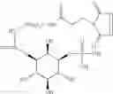 Fig. 22 - Inositol-phosphate derivatives and method of detecting inositol-1-phosphate