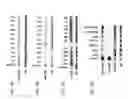 Fig. 04 - MicroRNA-based methods and compositions for the diagnosis, prognosis and treatment of breast cancer