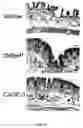 Fig. 05 - Compounds, compositions, kits and methods of use to orally and topically treat acne and other skin conditions by 19-Nor vitamin D analog