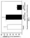 Fig. 06 - Compounds, compositions, kits and methods of use to orally and topically treat acne and other skin conditions by 19-Nor vitamin D analog