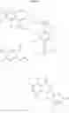 Fig. 25 - ISOQUINOLINE DERIVATIVES AND METHODS OF USE THEREOF