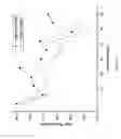 Fig. 167 - METHODS FOR MANUFACTURING THREE-DIMENSIONAL THIN-FILM SOLAR CELLS