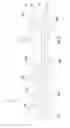 Fig. 05 - EMBOSSING