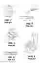 Fig. 02 - Packaging for soft contact lenses