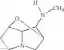 Fig. 43 - Cross-β structure binding compounds