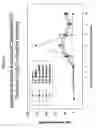 Fig. 04 - Modified Viral Particles with Immunogenic Properties and Reduced Lipid Content Useful for Treating and Preventing Infectious Diseases