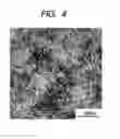Fig. 04 - Polymer electrolyte membrane, membrane electrode assembly, and fuel cell