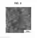 Fig. 06 - Polymer electrolyte membrane, membrane electrode assembly, and fuel cell